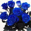 rose blu