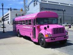 pink lady bus