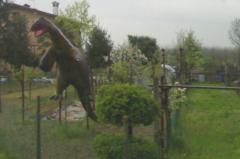 11 04 2008 tirannosauro da giardino