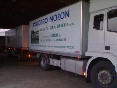 camion1