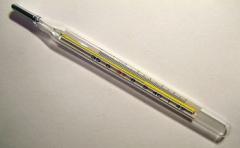 350px-Clinical_thermometer_38.7[1]